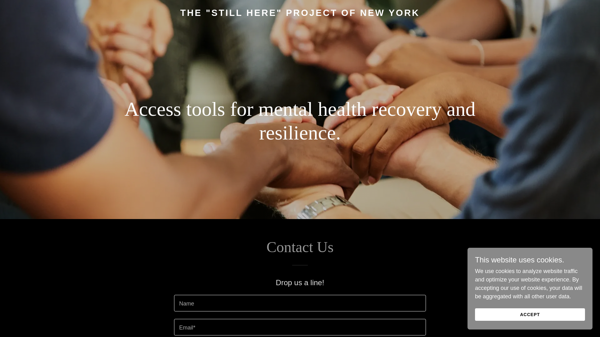 website screenshot of https://stillhereprojectny.org/