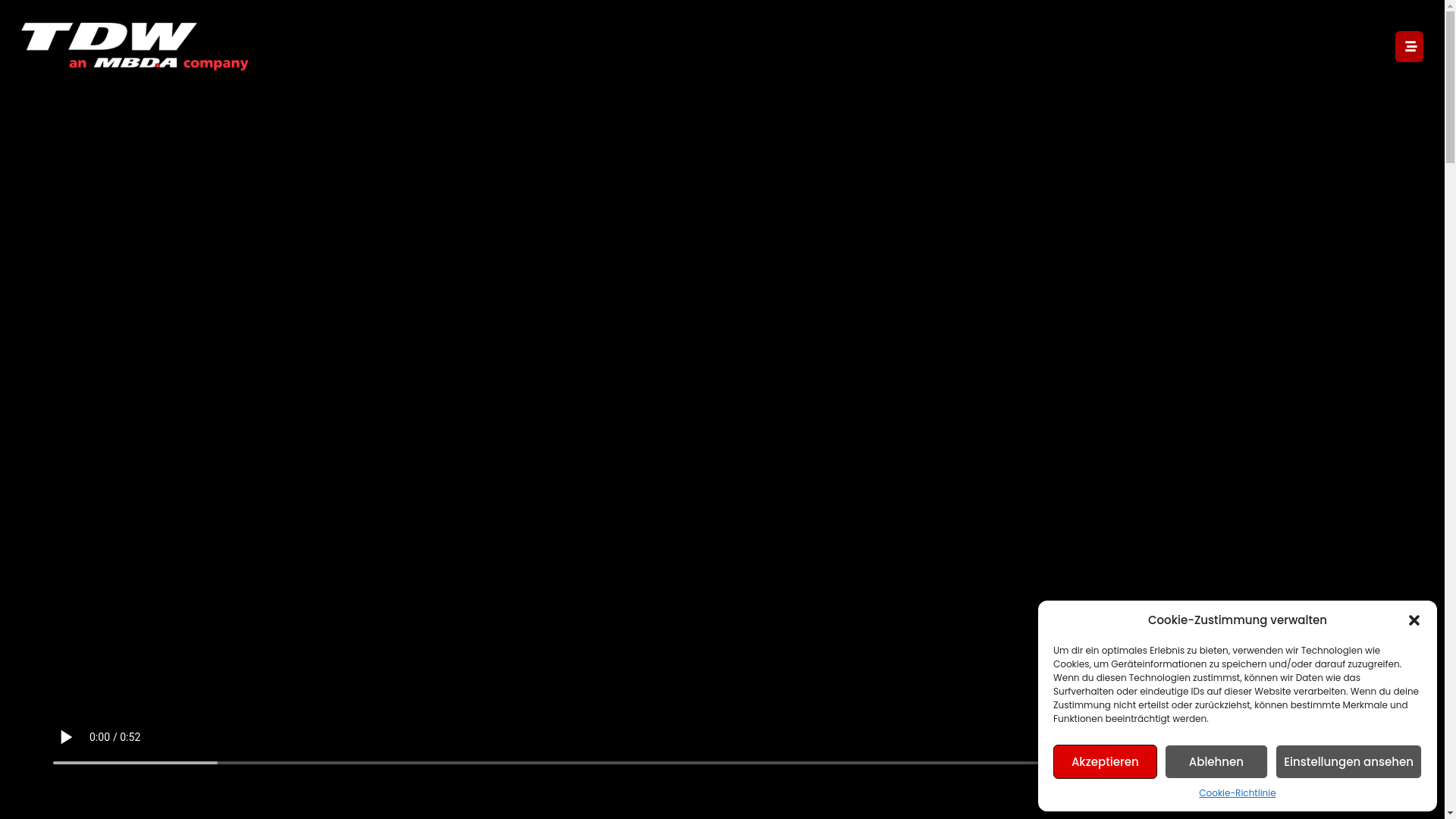 website screenshot of https://tdw-warhead-systems.com/
