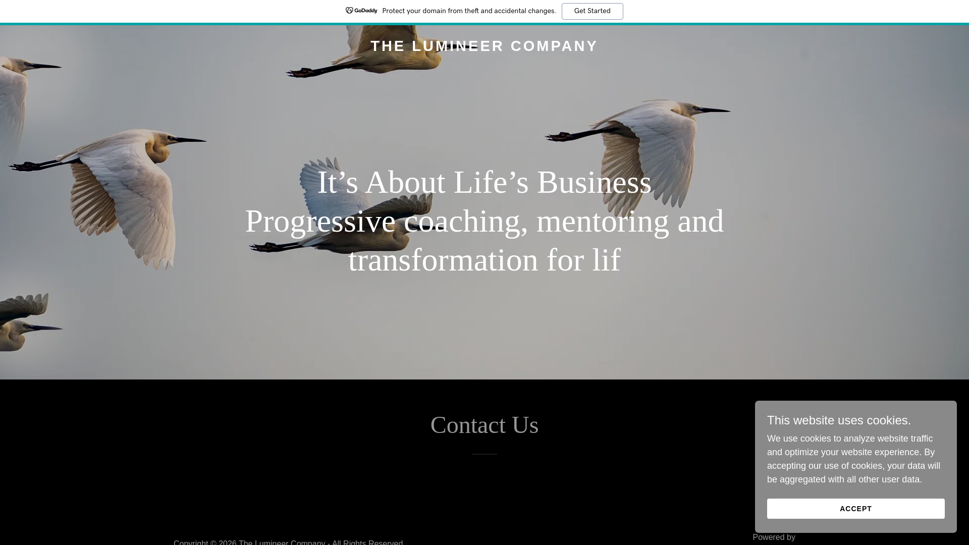 website screenshot of https://thelumineercompany.com/