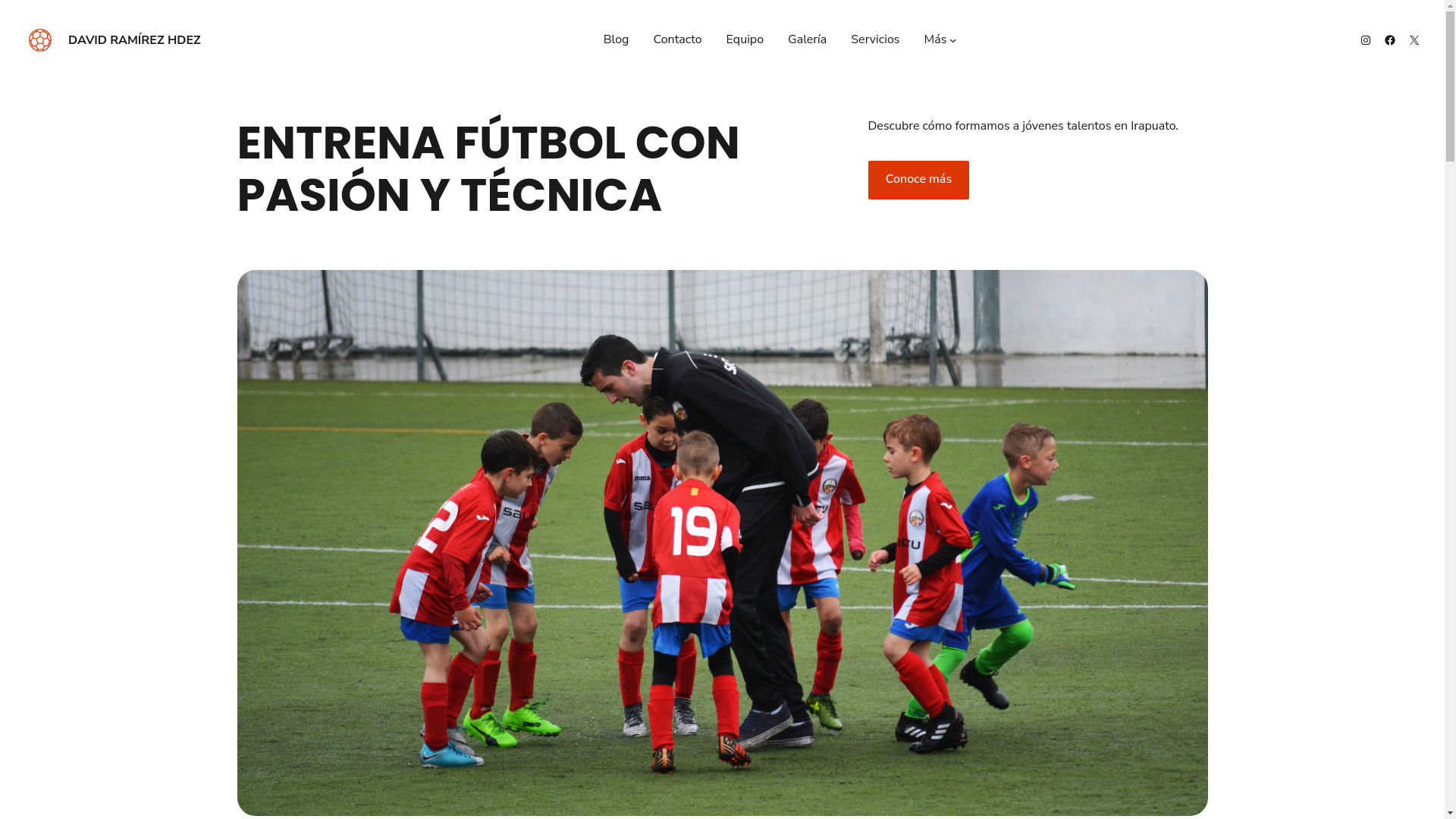 website screenshot of https://davidramirezhdez.mx/
