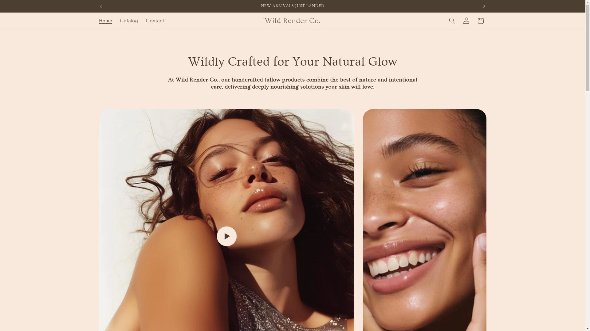 website screenshot of https://wildrendercompany.com/