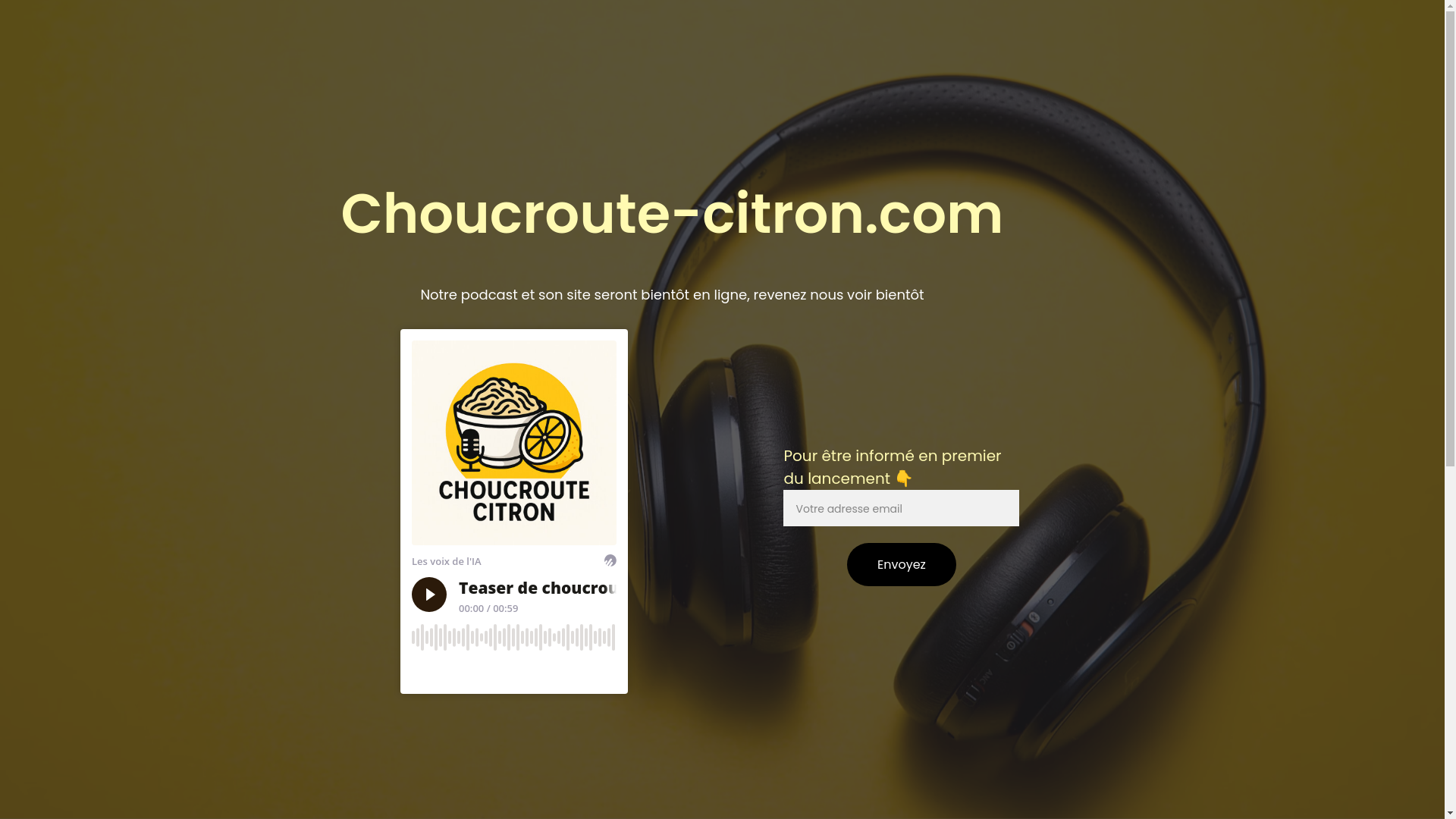 website screenshot of https://choucroutecitron.org/