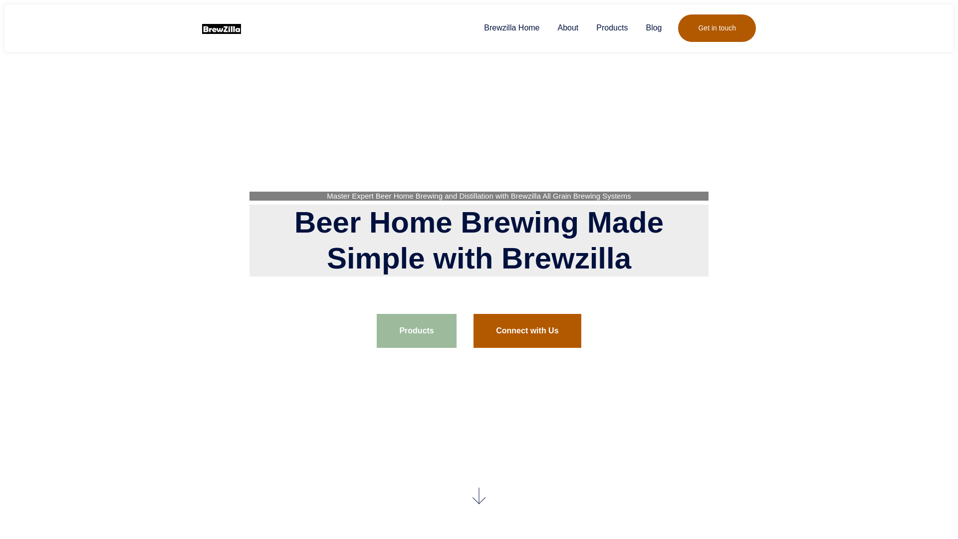 website screenshot of https://brewzilla.beer/