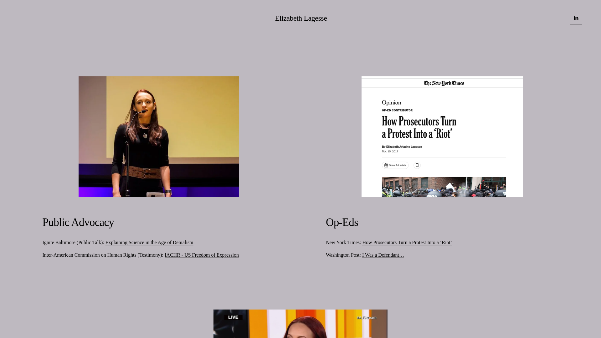 website screenshot of https://elizabethlagesse.com