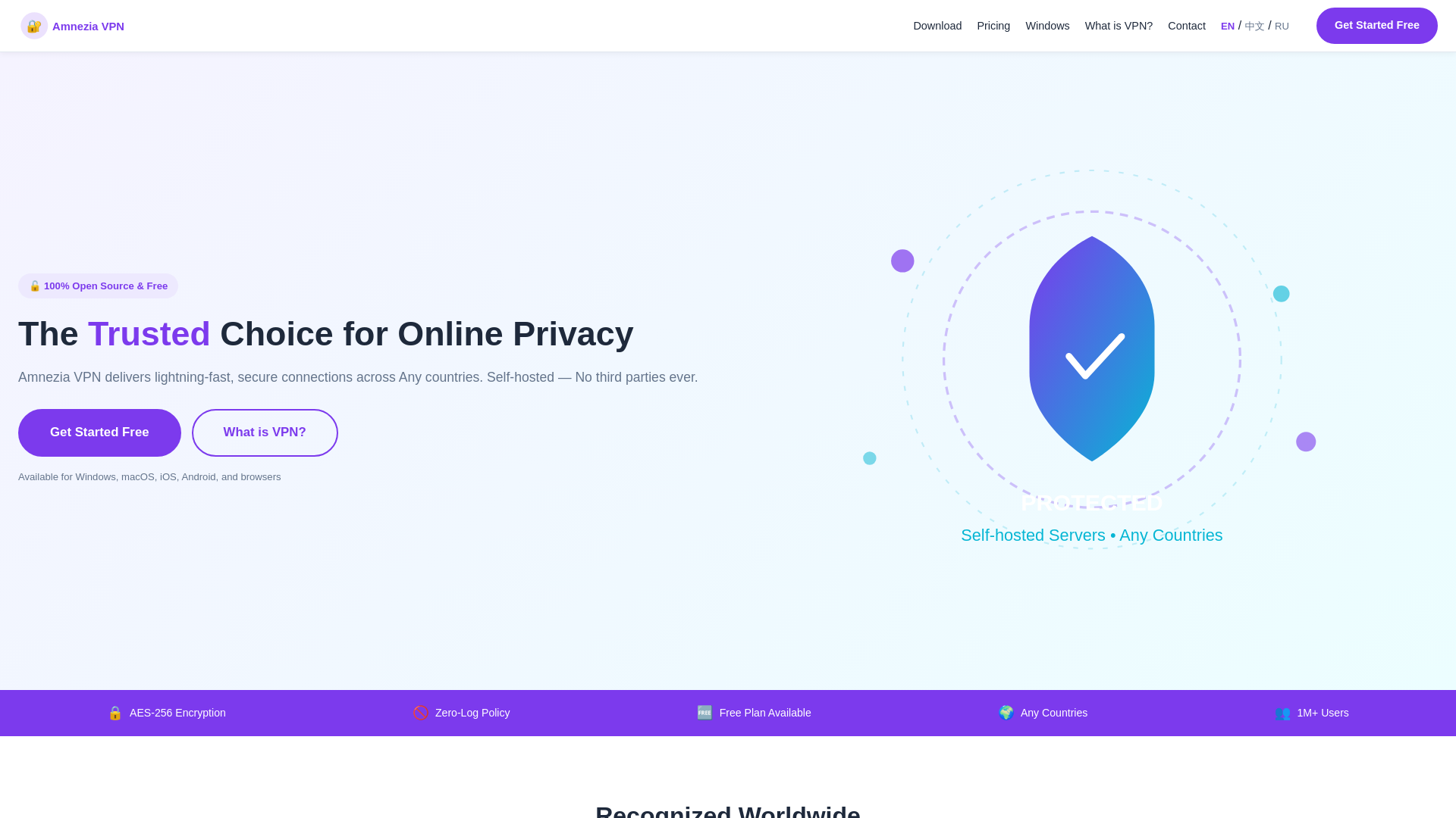 website screenshot of https://amneziaofficial.com/