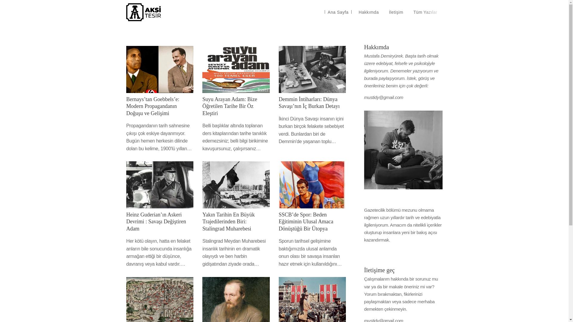 website screenshot of https://aksitesir.org/