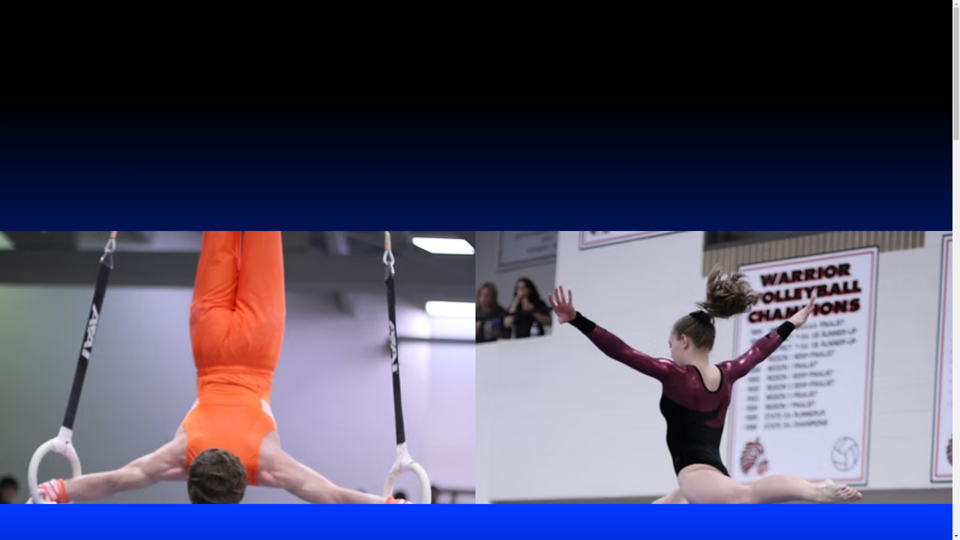 website screenshot of https://texashighschoolgymnastics.com/