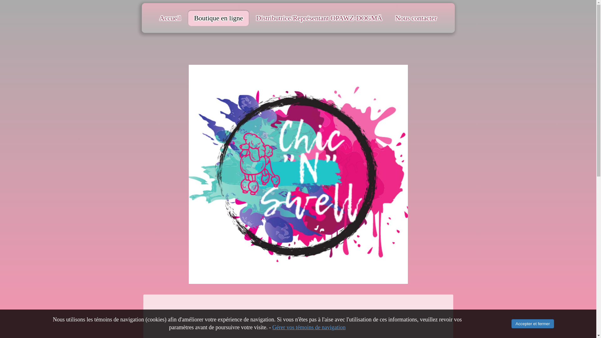 website screenshot of https://distributionchicnswell.ca/