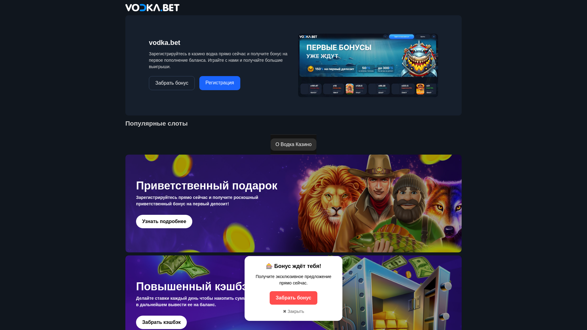 website screenshot of https://vodka6489.casino/