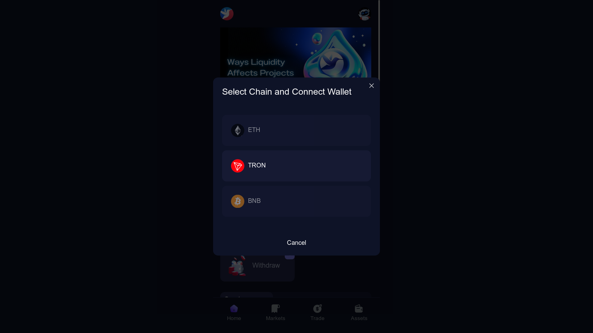 website screenshot of https://bs-vault.com/