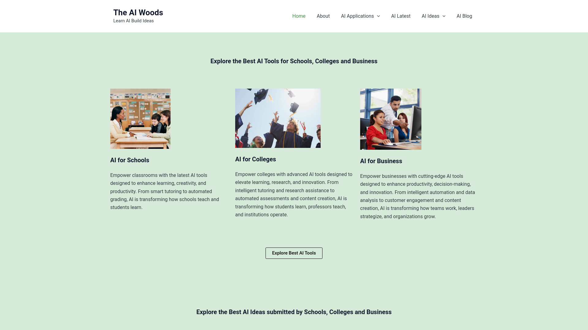 website screenshot of https://theaiwoods.com/