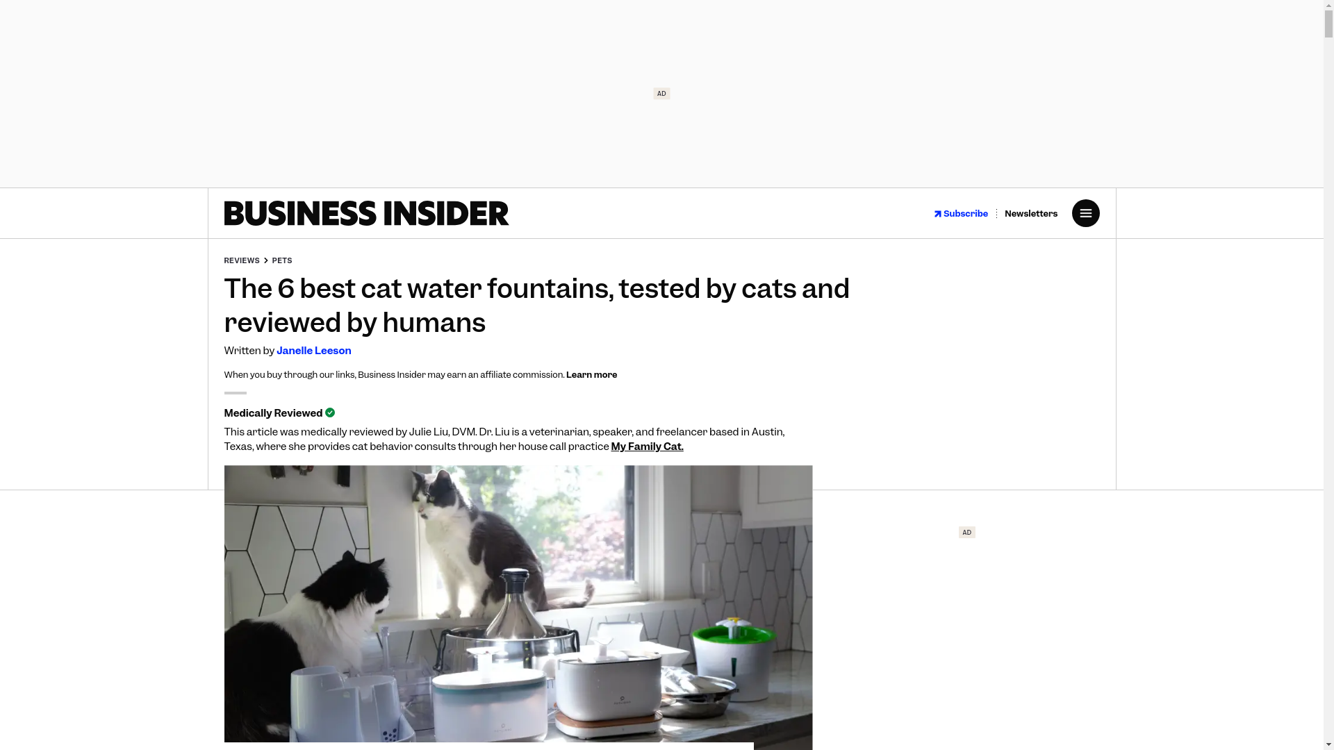 website screenshot of https://www.businessinsider.com/guides/pets/best-cat-fountain