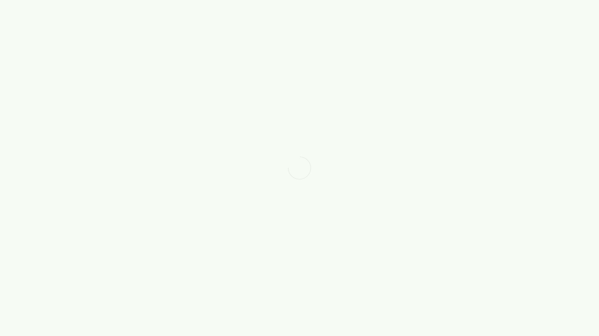 website screenshot of https://sonether.lol/
