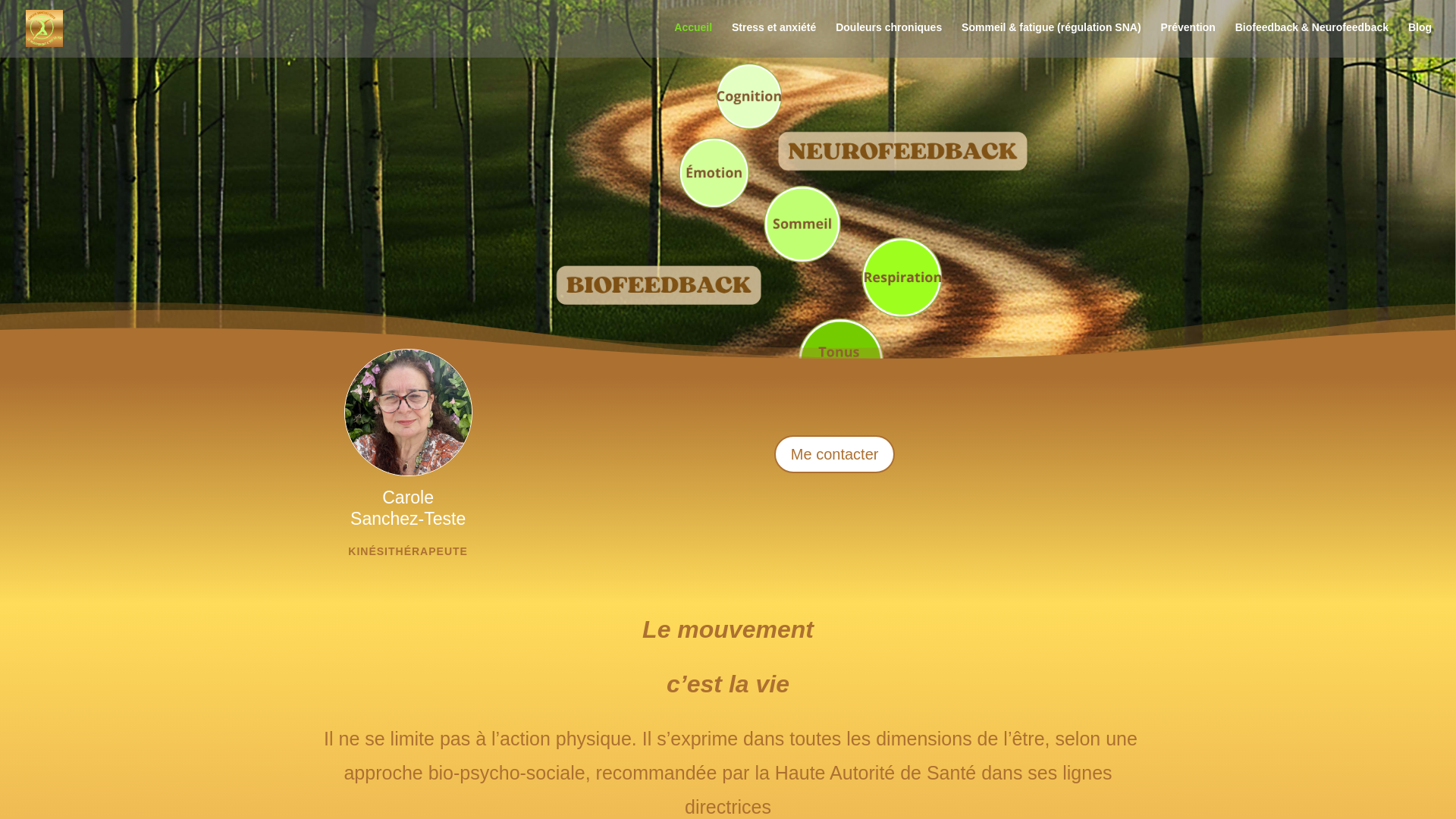 website screenshot of https://kinesi-terre-happy.fr/