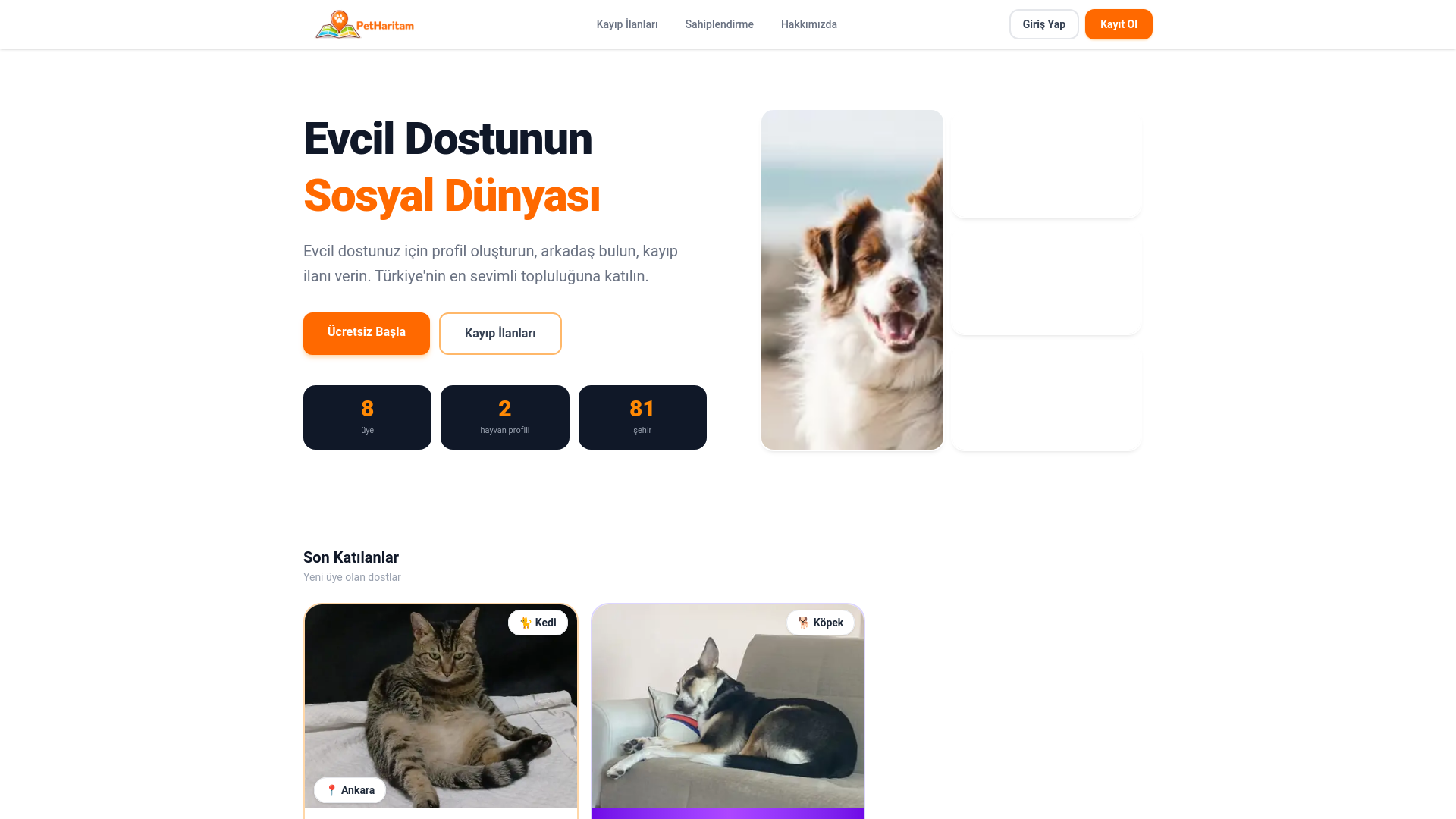 website screenshot of https://petharitam.com