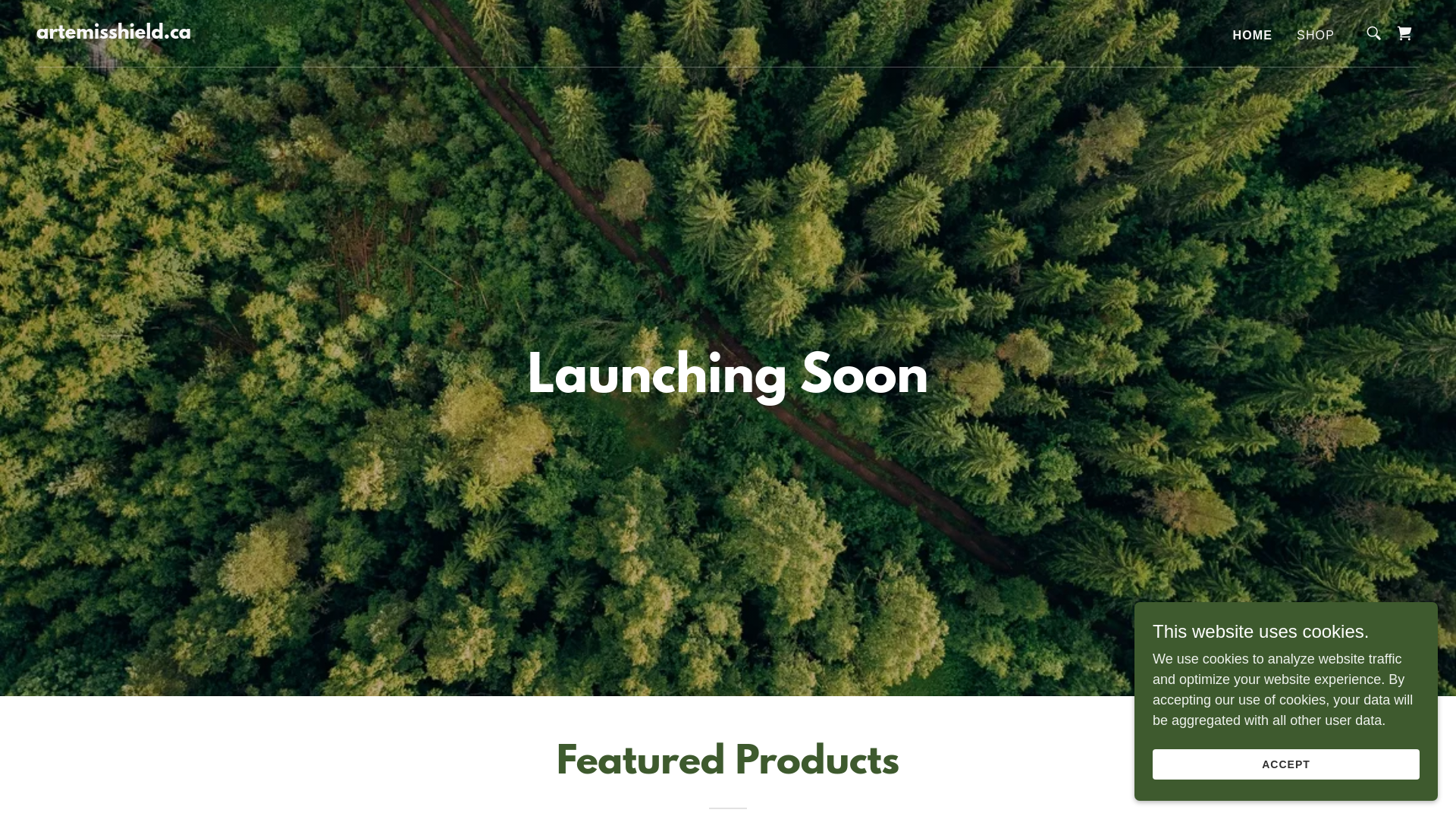 website screenshot of https://artemisshield.ca/