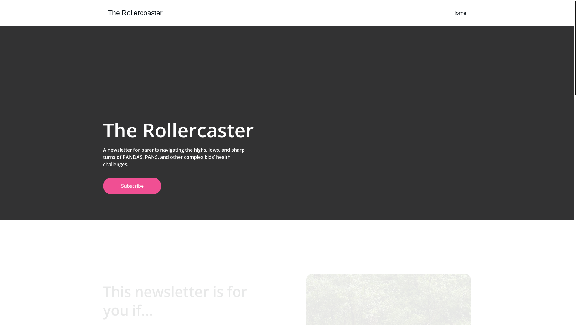 website screenshot of https://therollercoaster.life/
