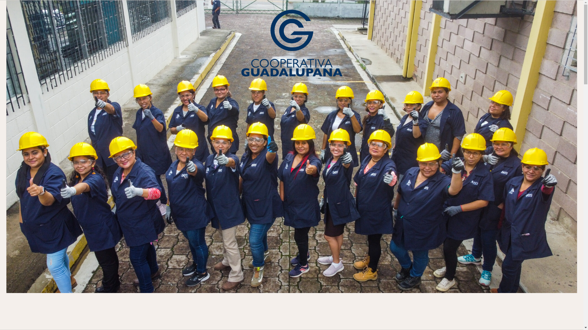 website screenshot of https://guadalupanapersona.online/