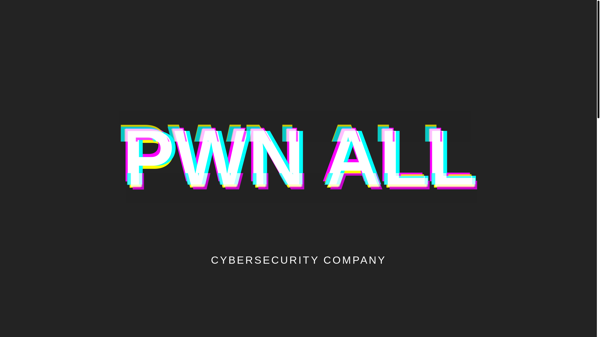 website screenshot of https://pwn-all.net/