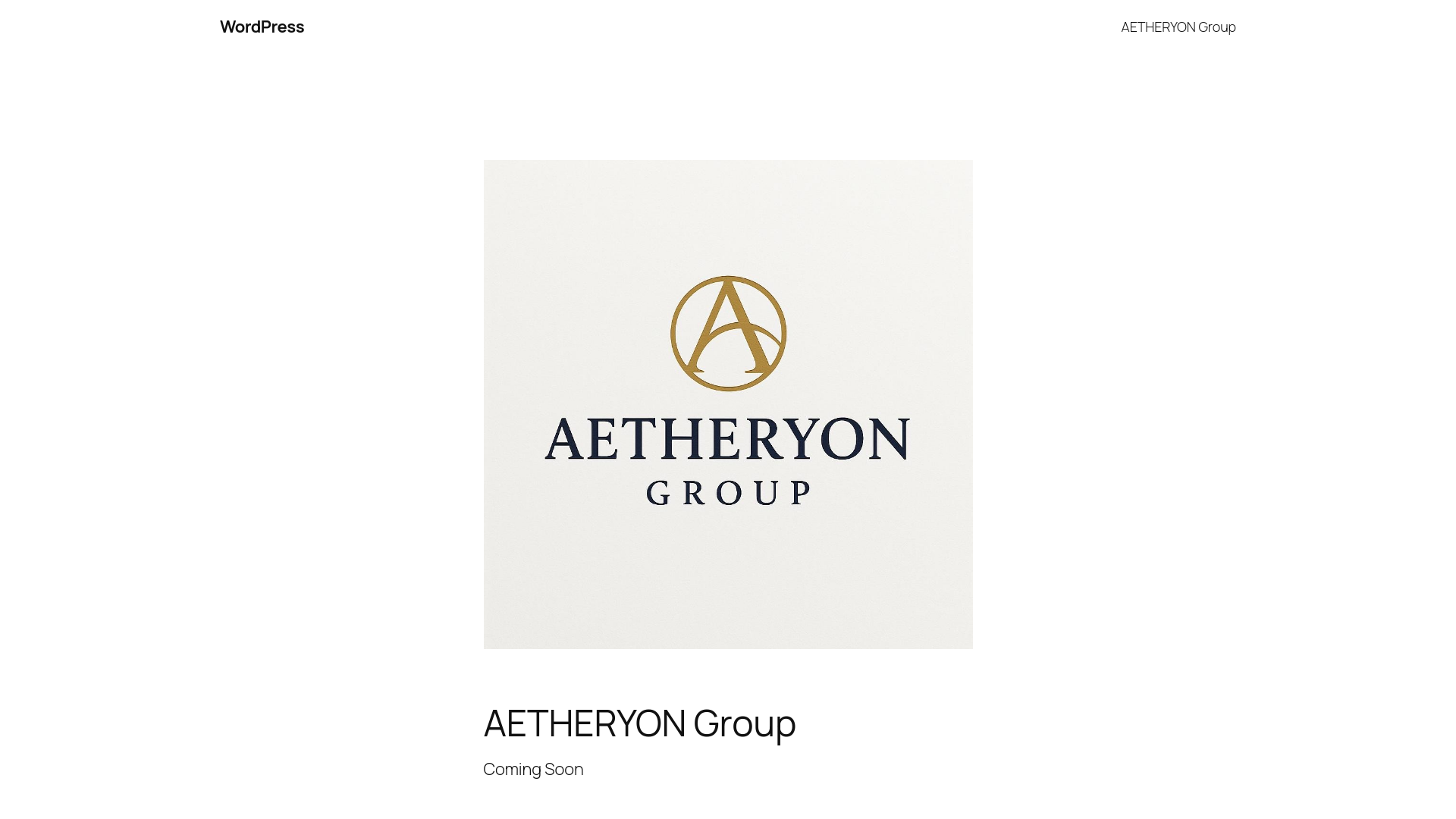website screenshot of https://aetheryongroup.com