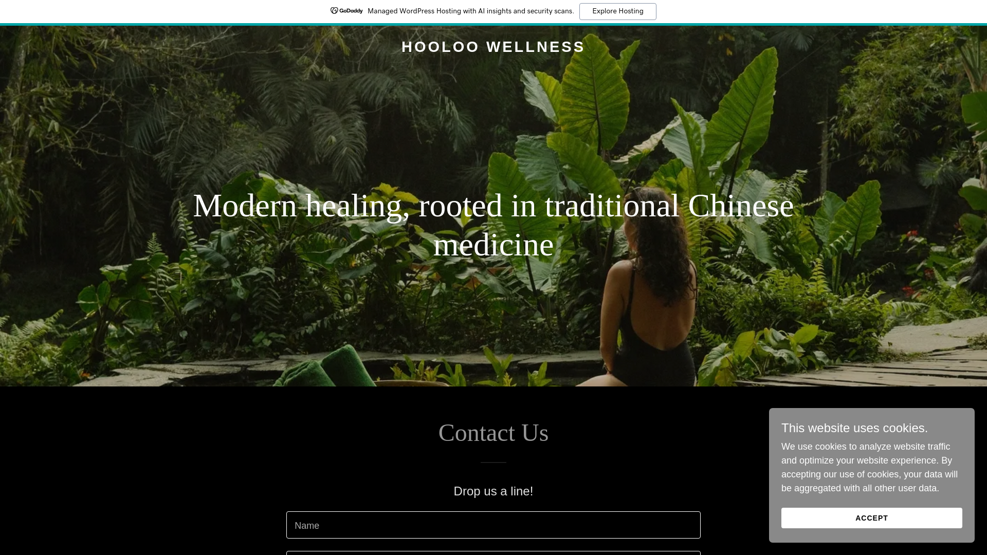 website screenshot of https://hooloowellness.com