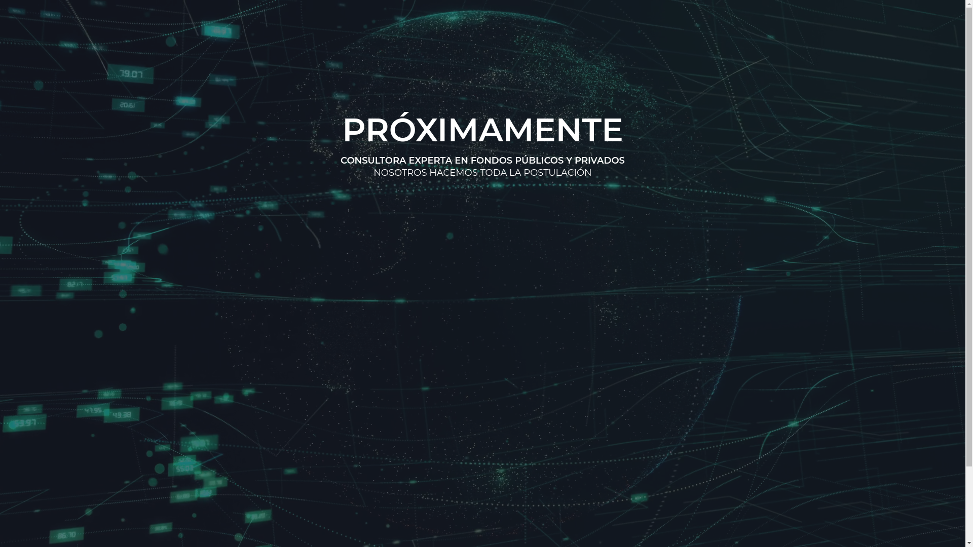 website screenshot of https://zyntraconsultores.cl/