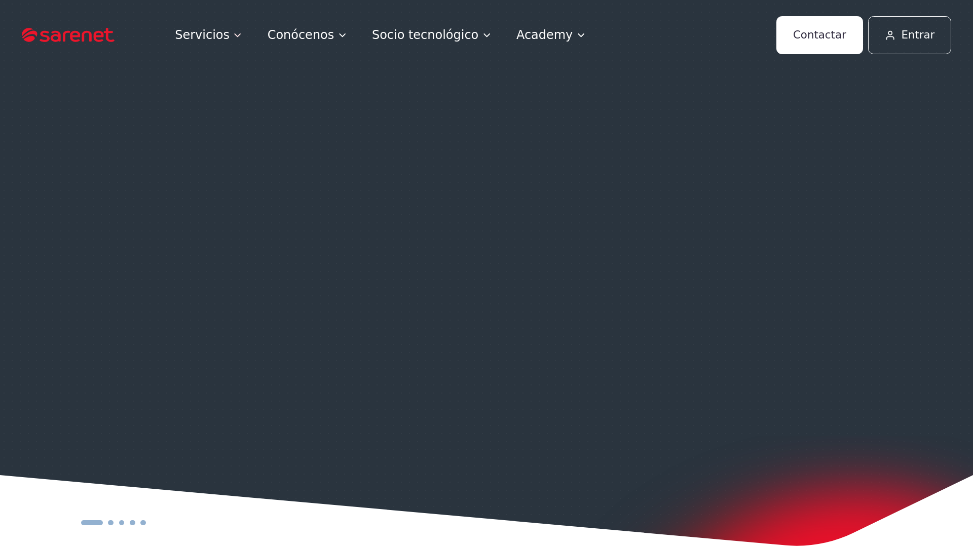 website screenshot of http://www.sarenet.es/