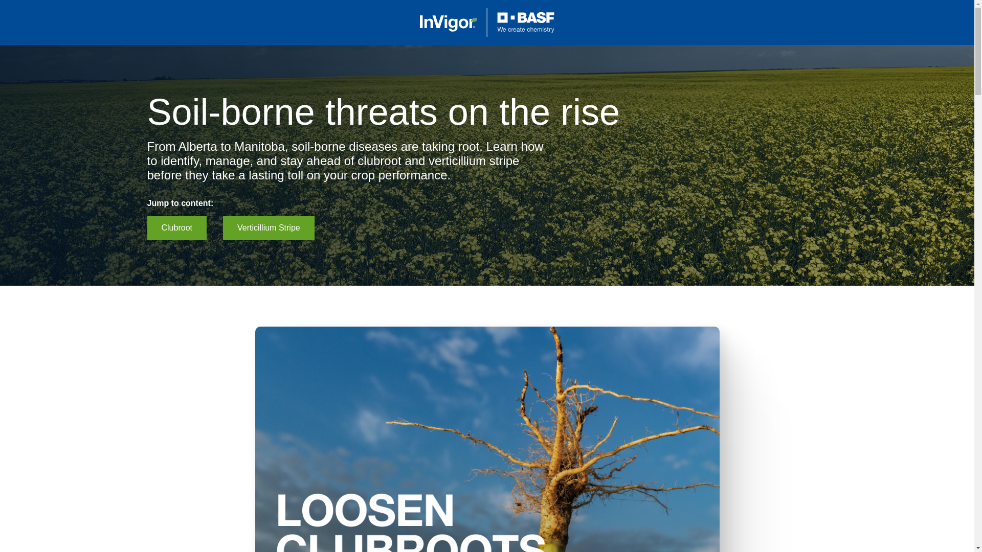 website screenshot of https://invigorprotects.ca/