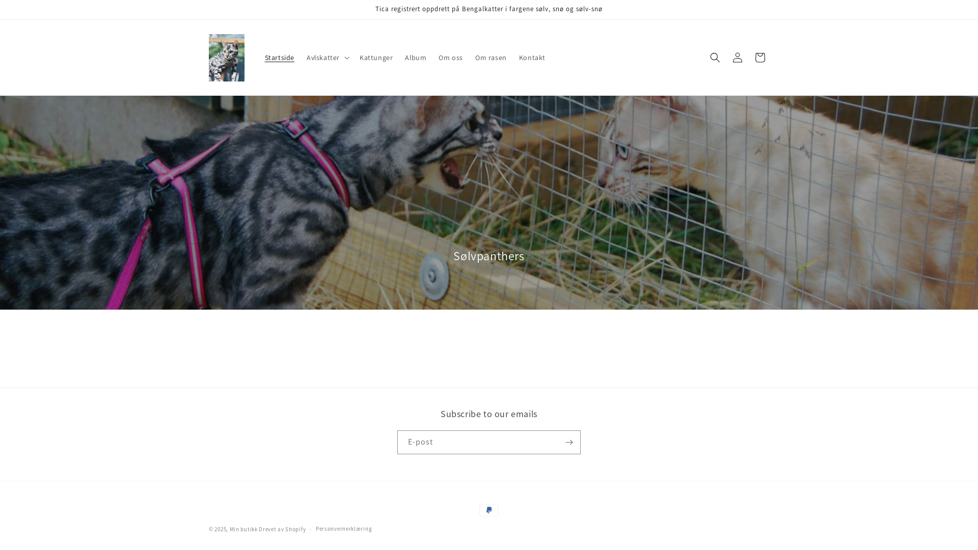 website screenshot of https://solvpanthers.com/