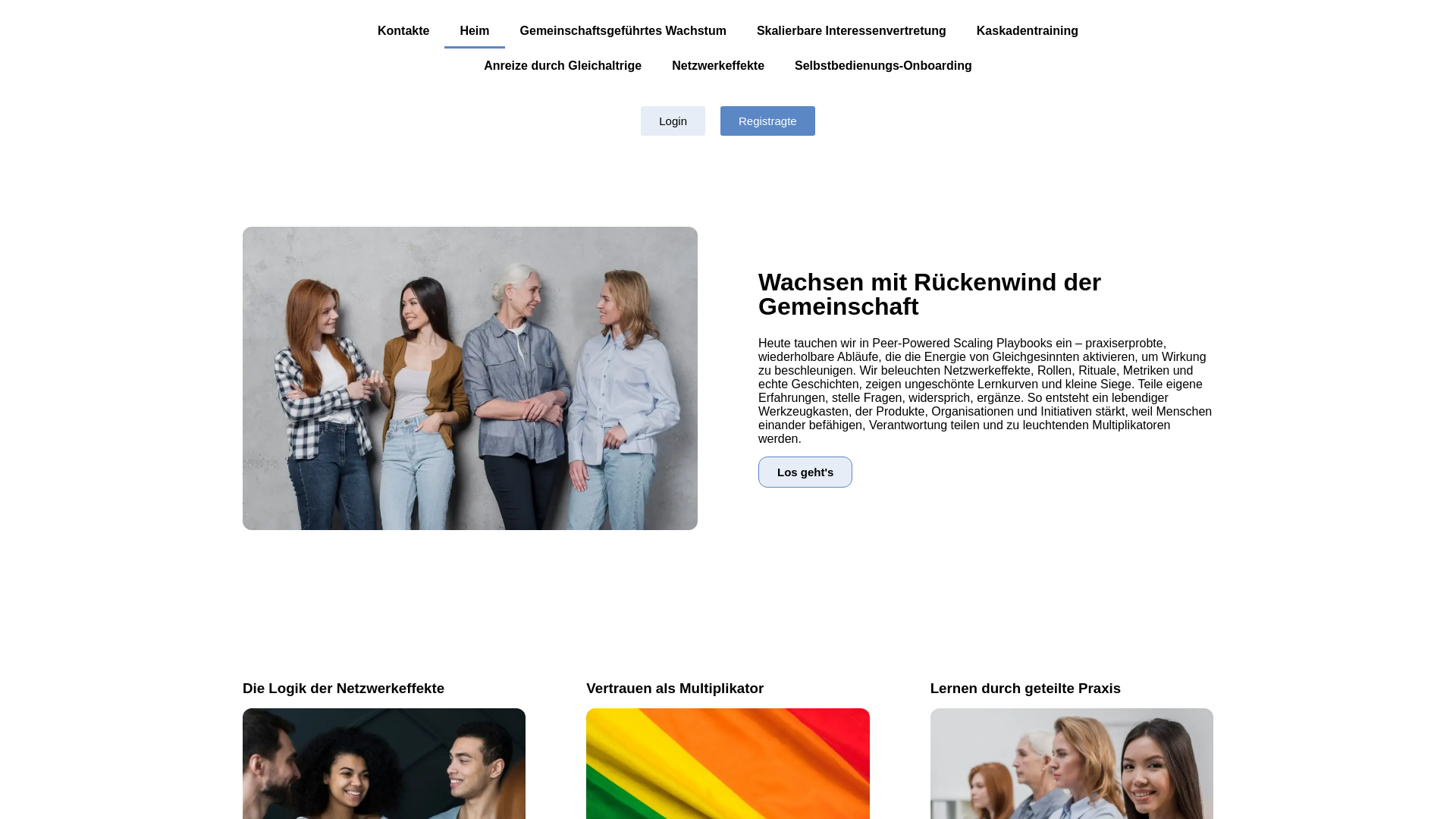 website screenshot of https://palosiravarorinoluma.digital/