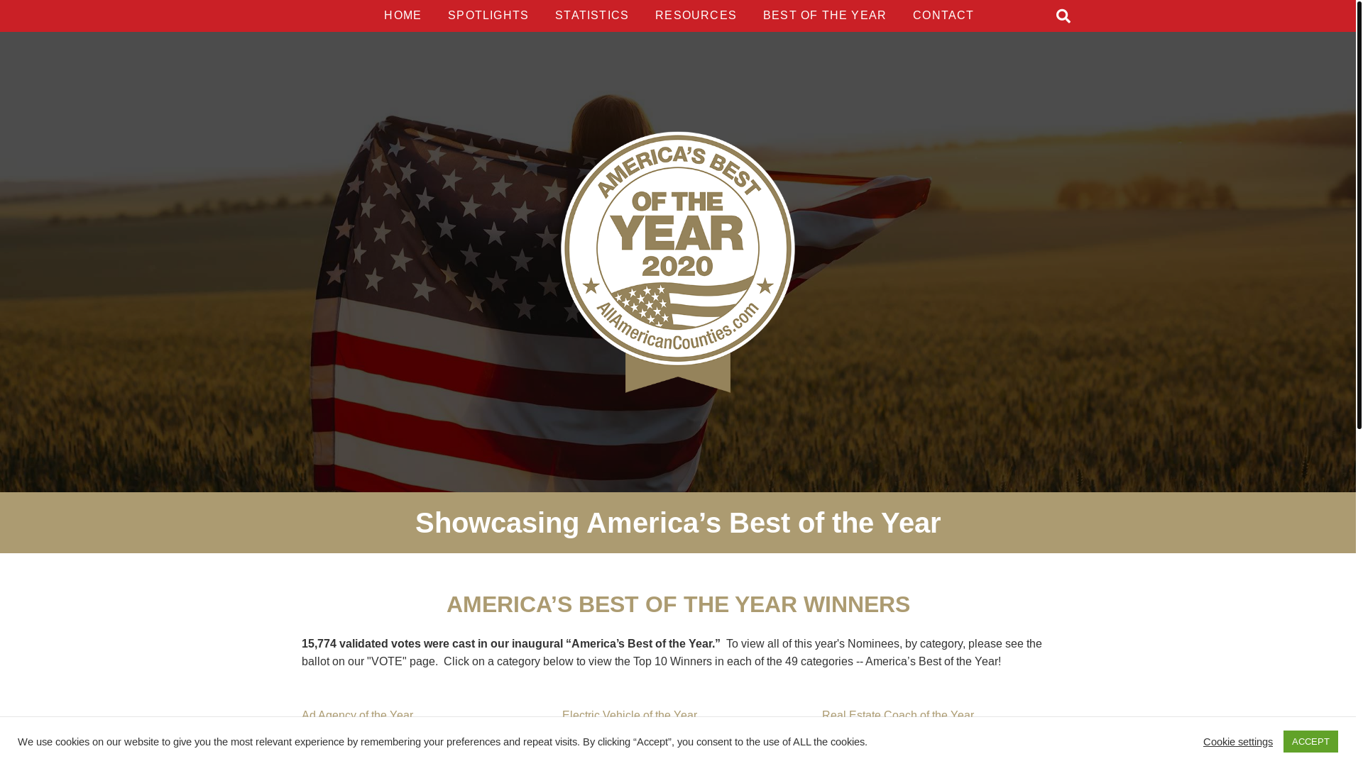 website screenshot of https://statefairoftheyear.com/