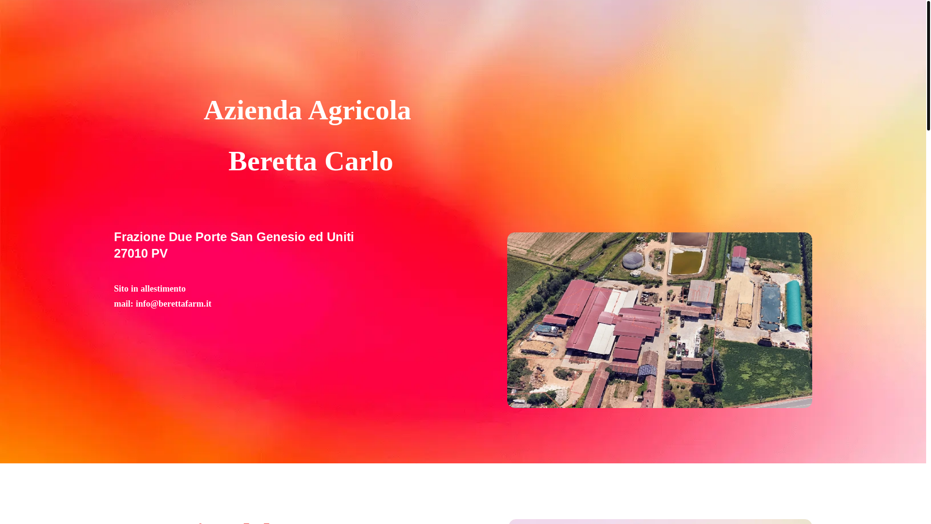 website screenshot of https://berettafarm.it/