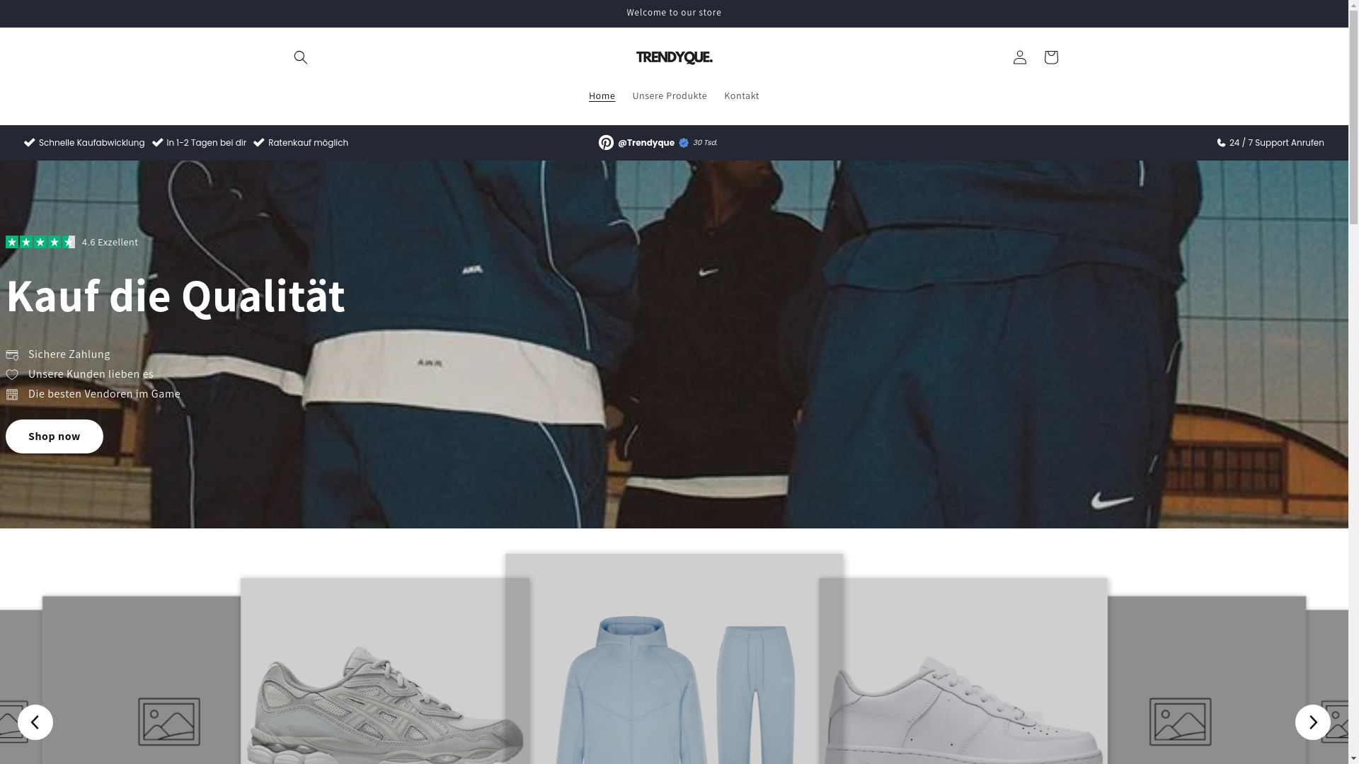 website screenshot of https://trendyquefashion.com/