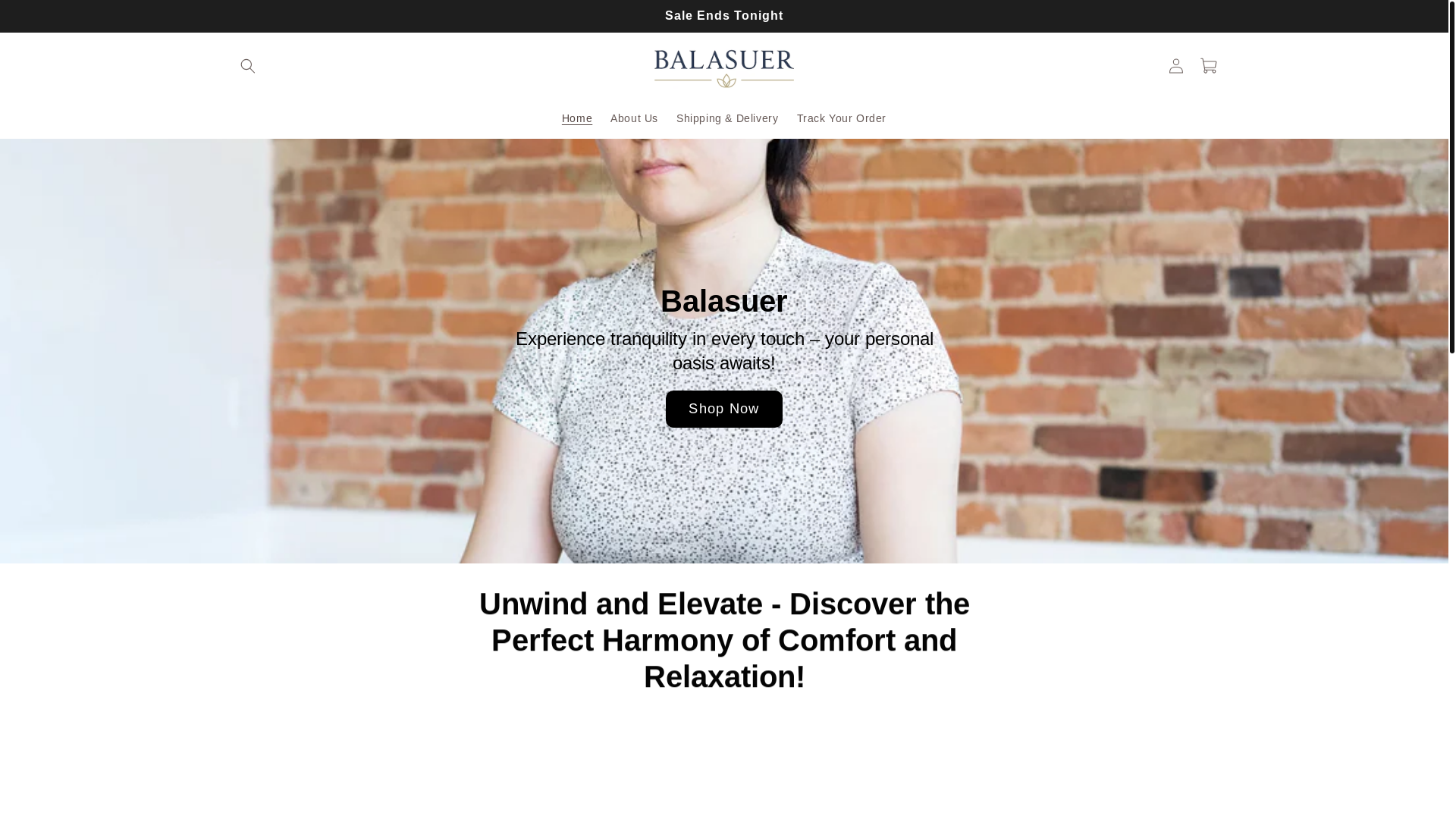website screenshot of https://balasuer.com/