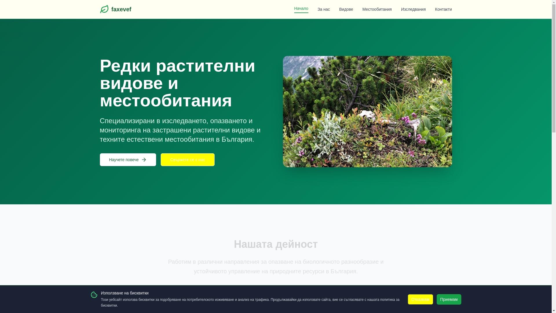 website screenshot of https://faxevef.com/