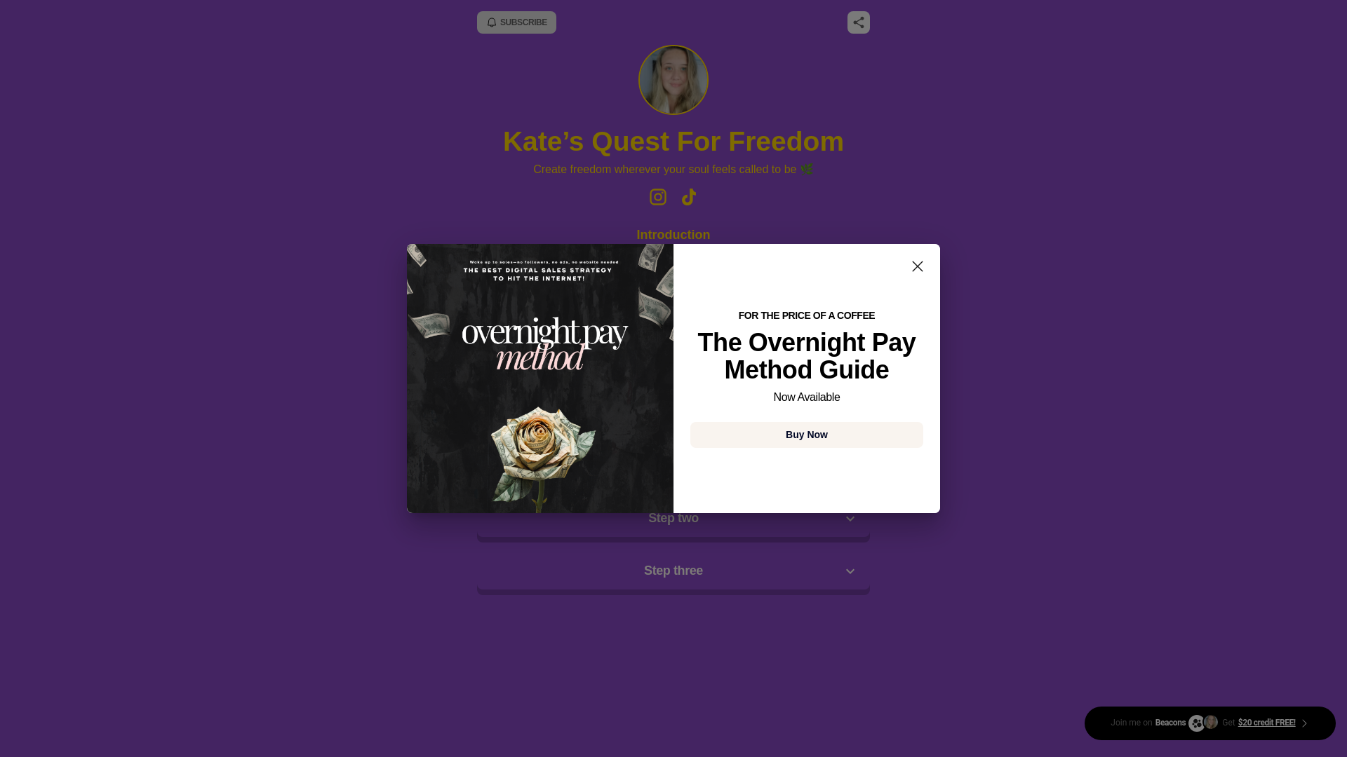 website screenshot of https://katesquestforfreedom.com/