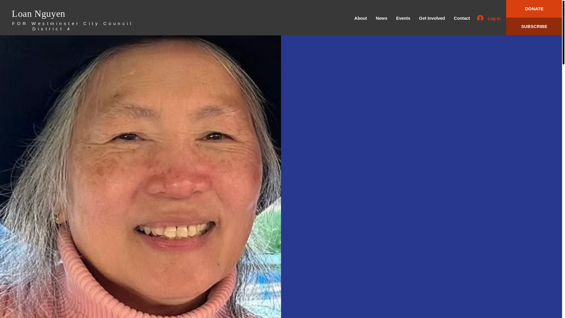 website screenshot of https://voteloannguyen.com/