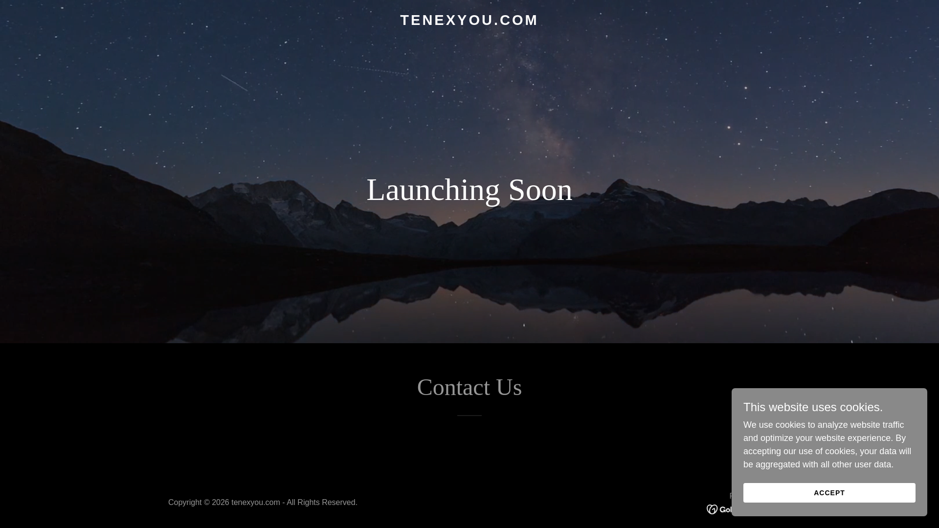 website screenshot of https://tenexyou.com/