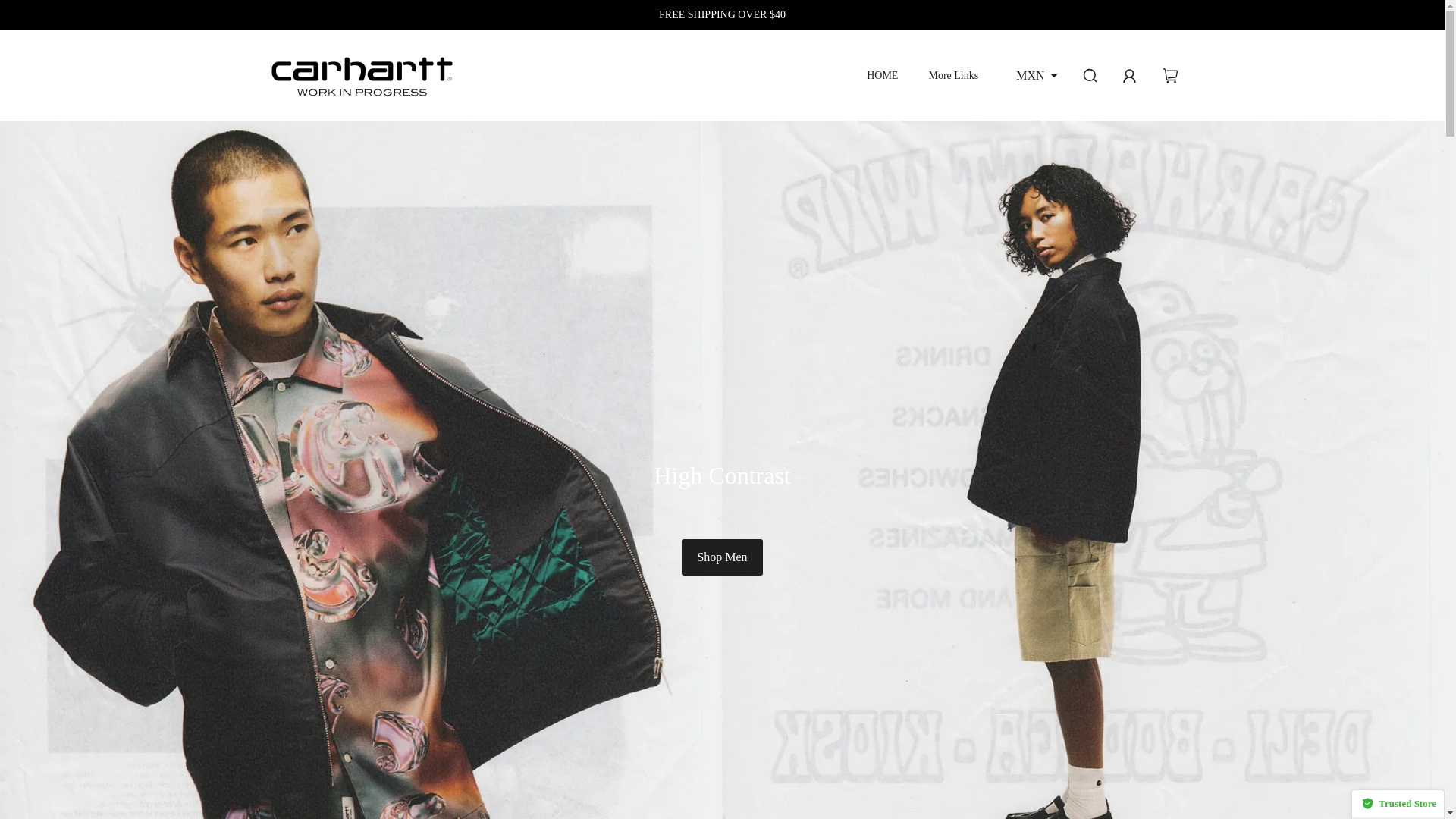 website screenshot of https://uscrt-wip.top/
