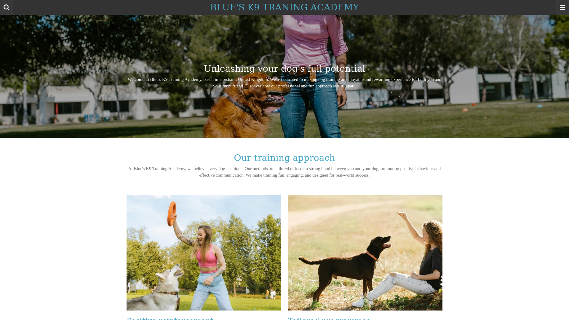website screenshot of https://bluesk9traningacademy.co.uk/