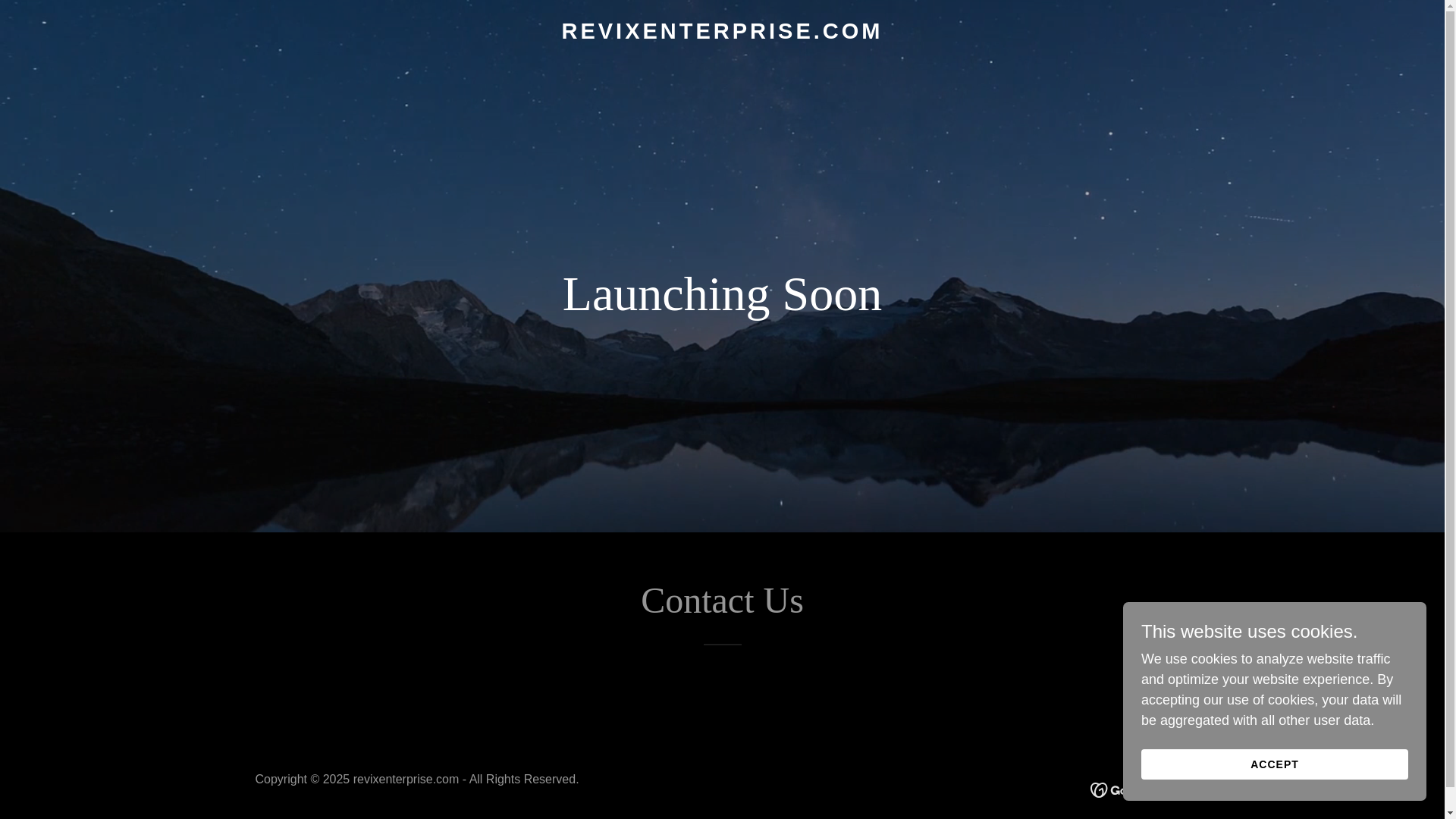 website screenshot of https://revixenterprise.com/