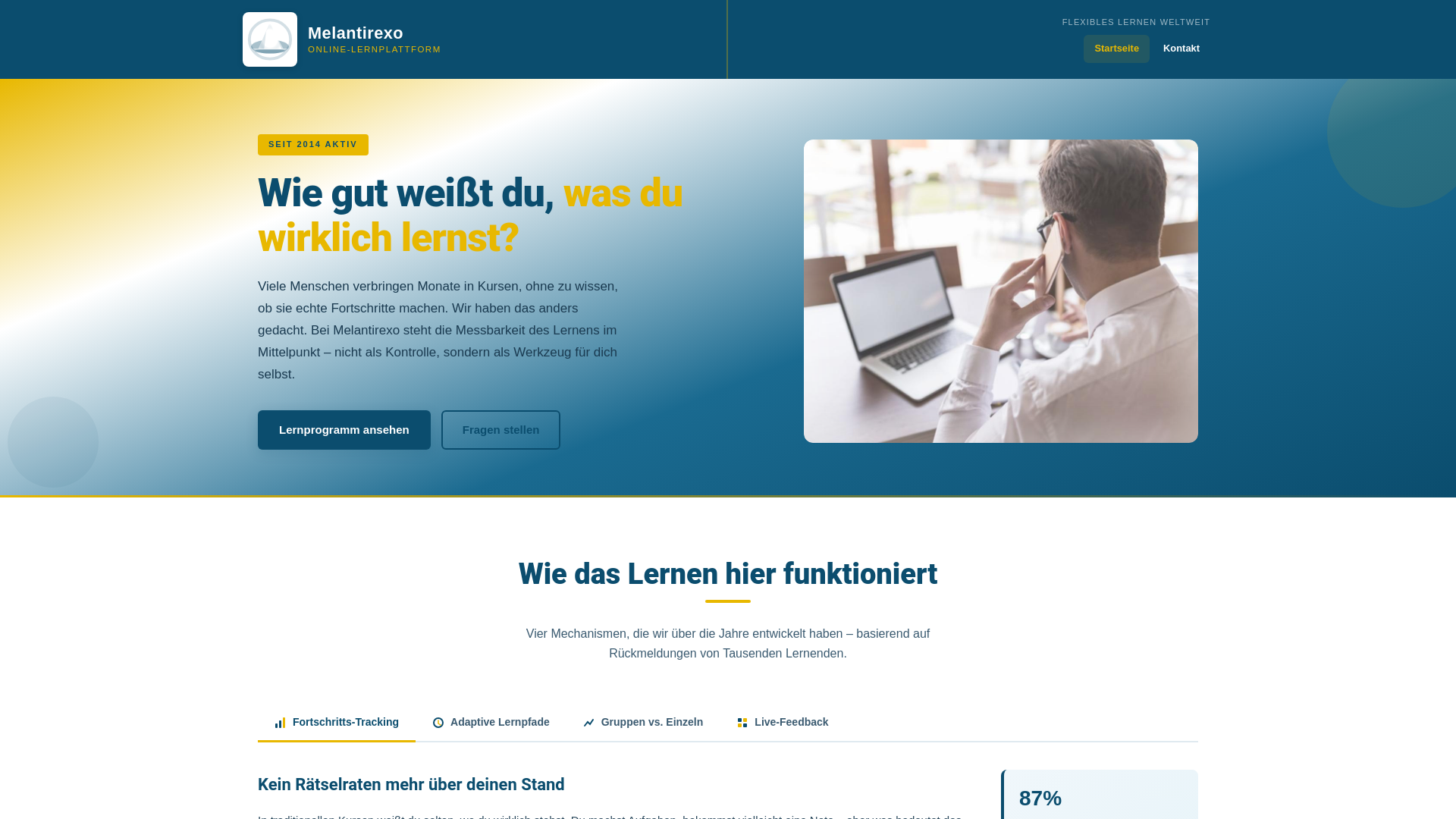 website screenshot of https://melantirexo.world/