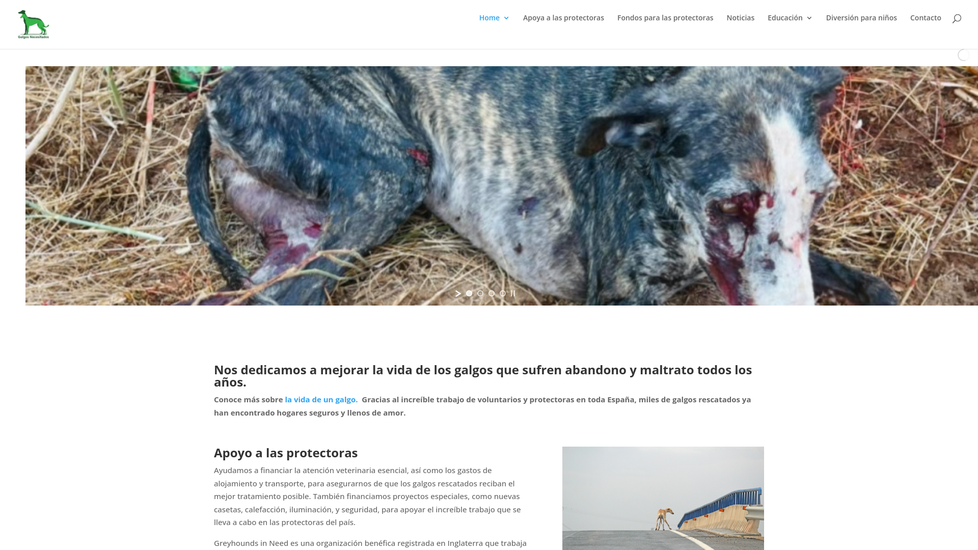 website screenshot of https://galgosnecesitados.es
