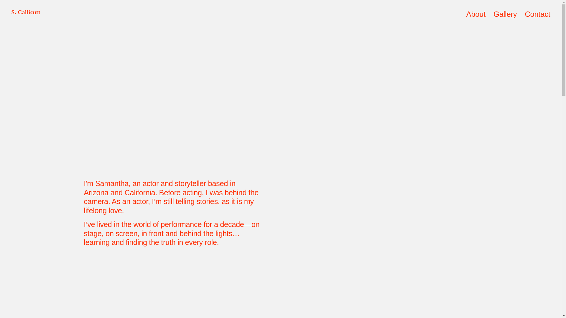 website screenshot of https://sam-acts.com/