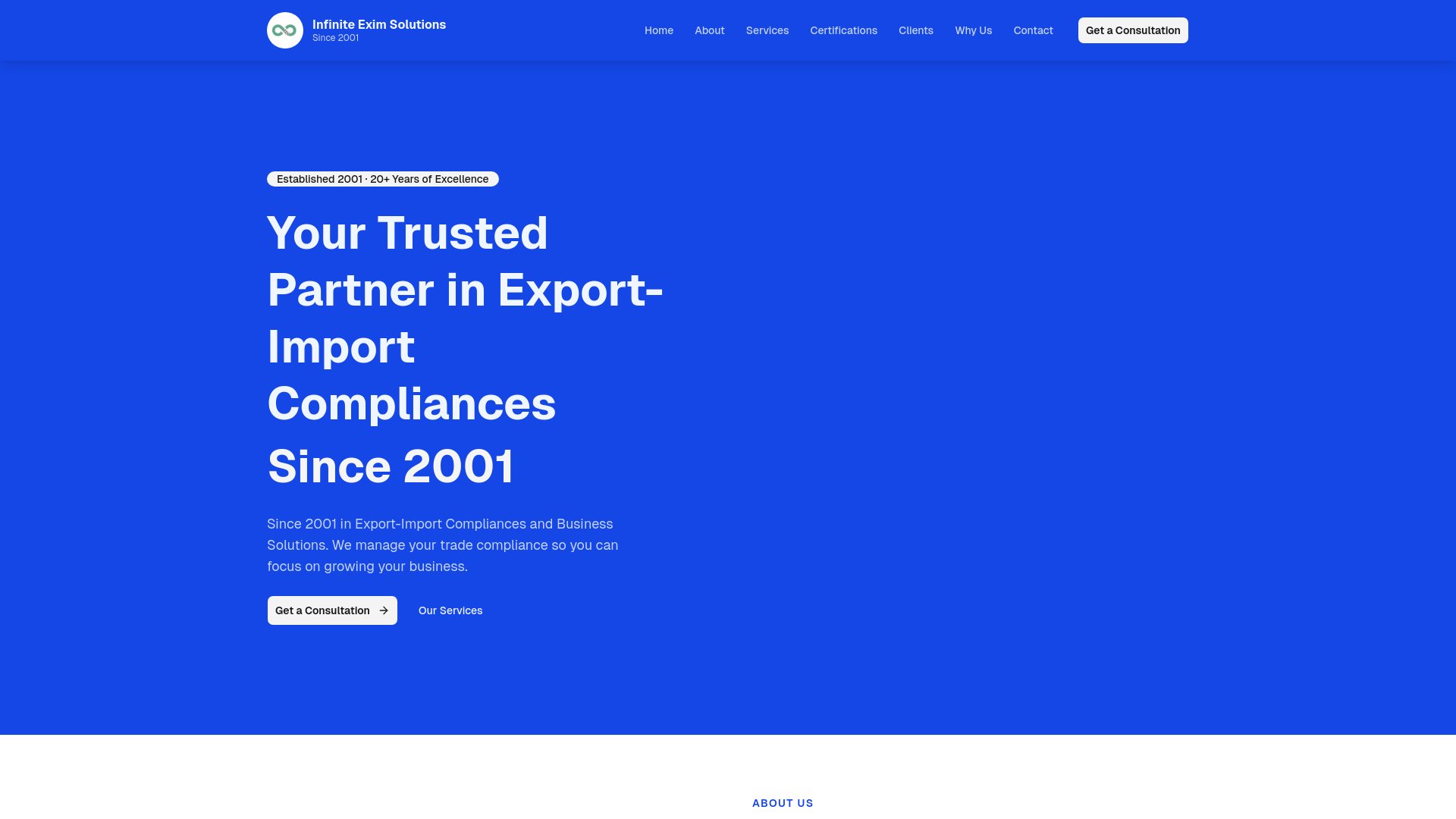 website screenshot of https://infiniteeximsolution.com/
