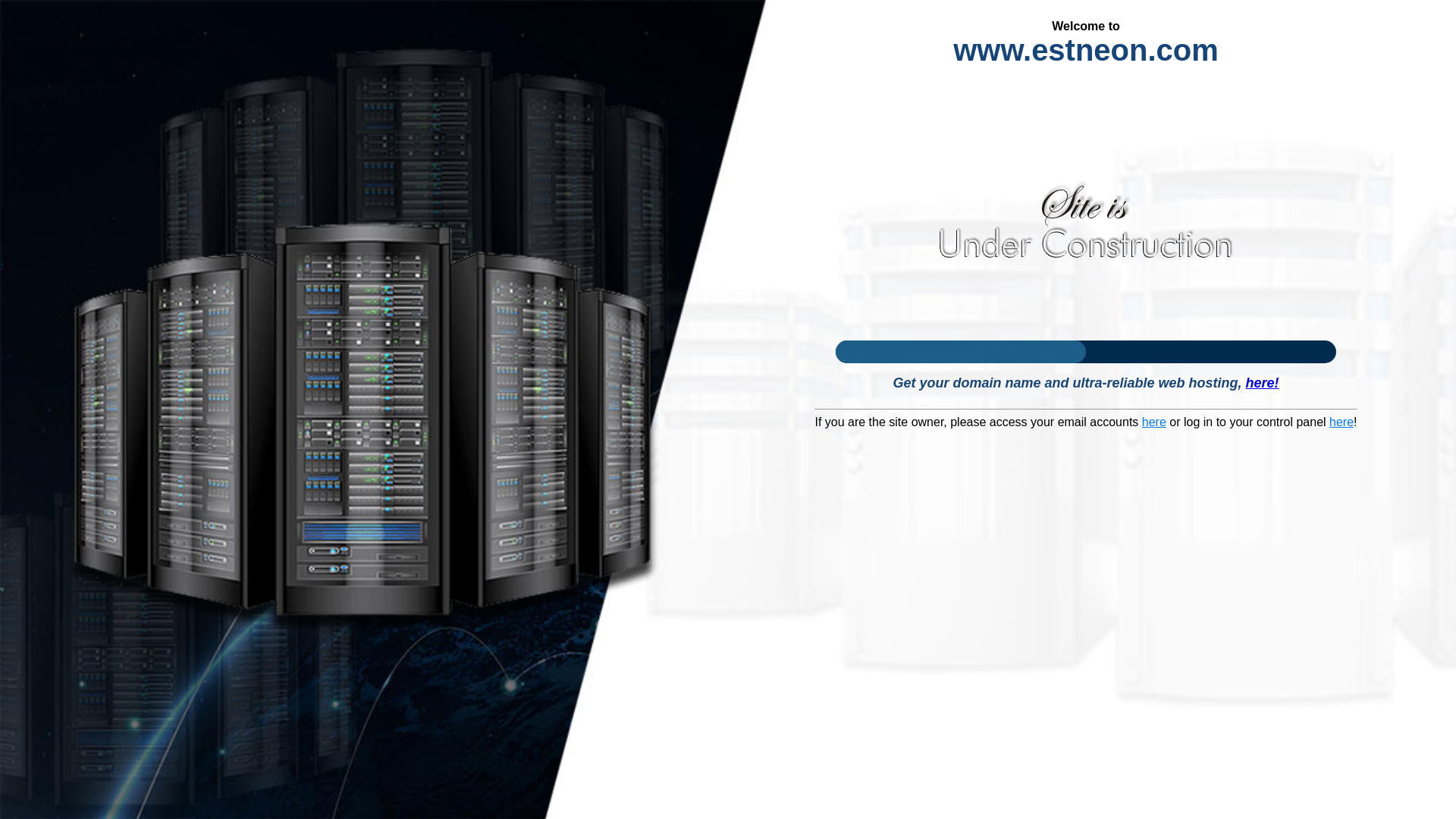 website screenshot of https://estneon.com/