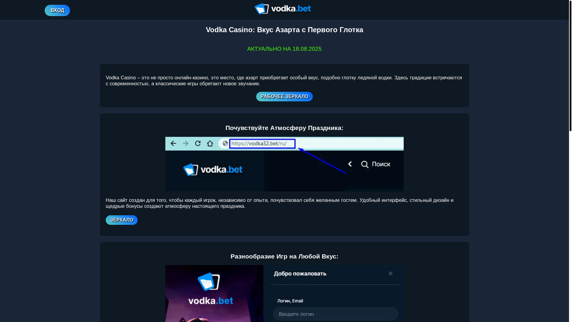 website screenshot of https://vodka136.top/