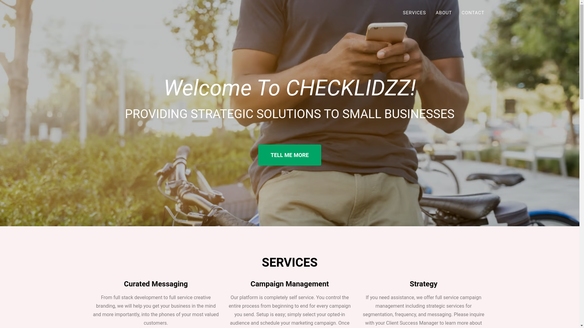 website screenshot of https://checklidzz.com/