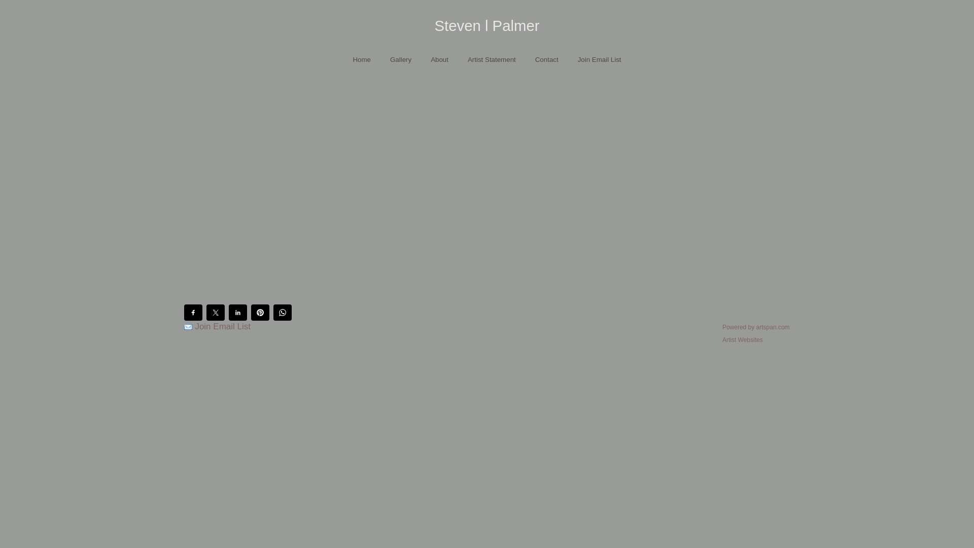 website screenshot of https://theartofstevenpalmer.com/