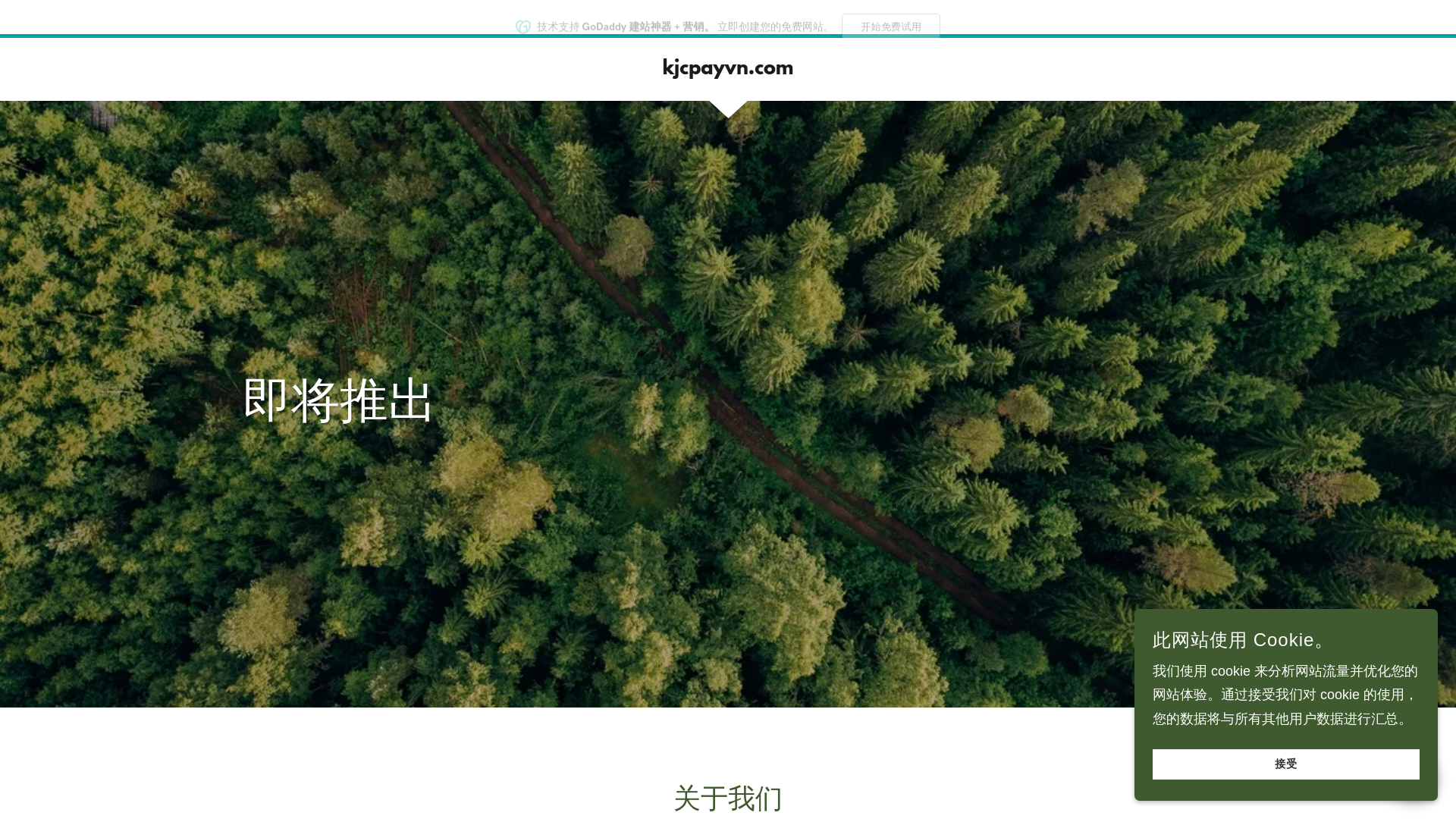 website screenshot of https://kjcpayvn.com/